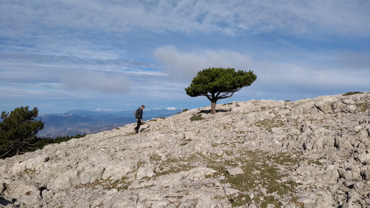 guided hiking trail boumort peak pyrenees